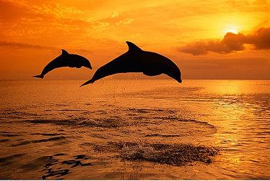 类《节奏天国》新作《褪黑素》年内登陆PC和NS